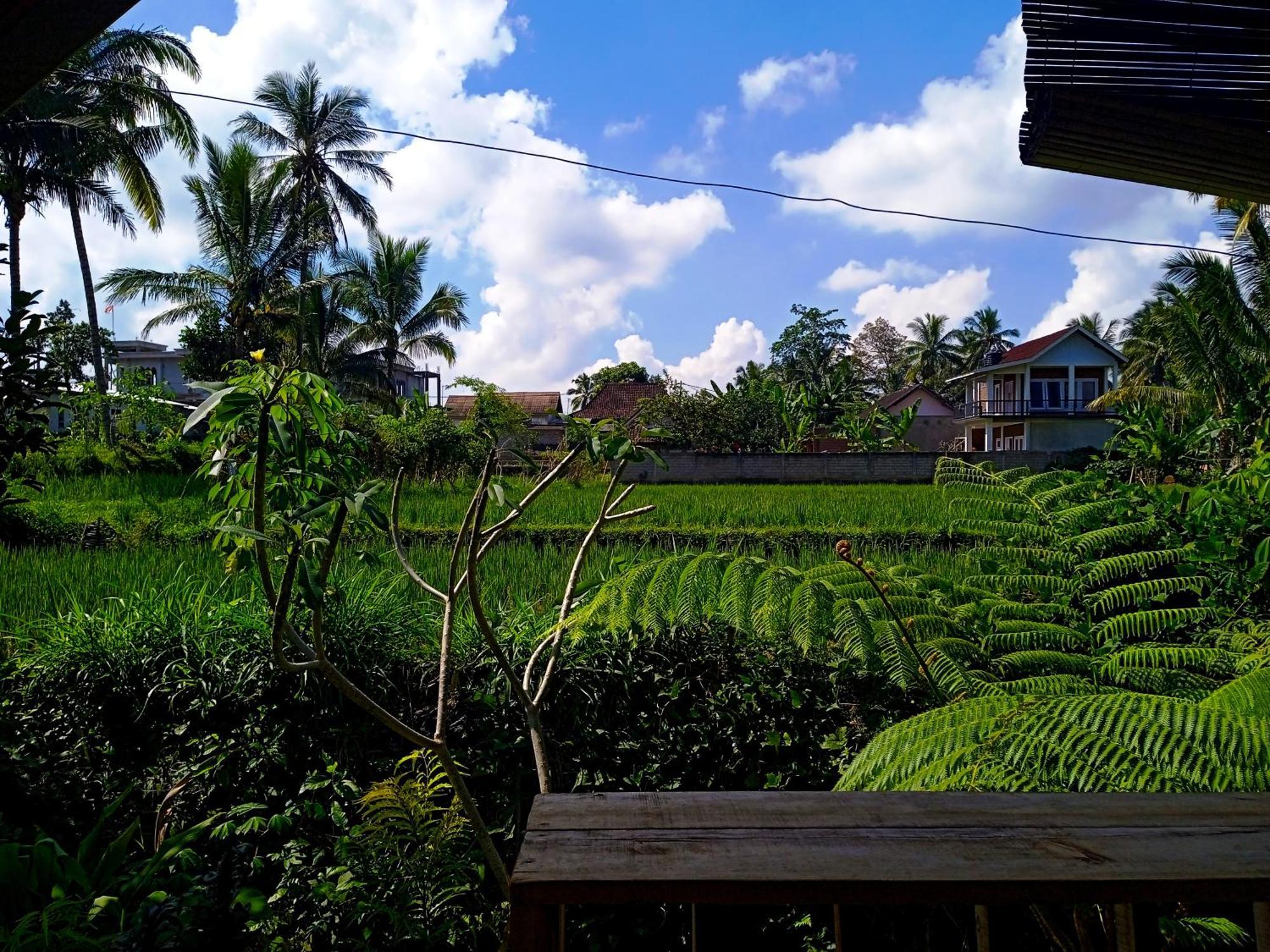Homestay Citra *