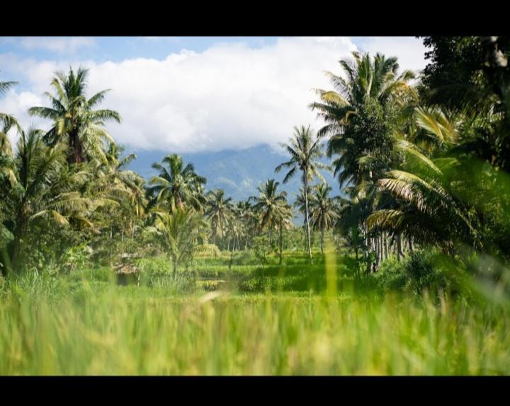 Citra Homestay Tetebatu